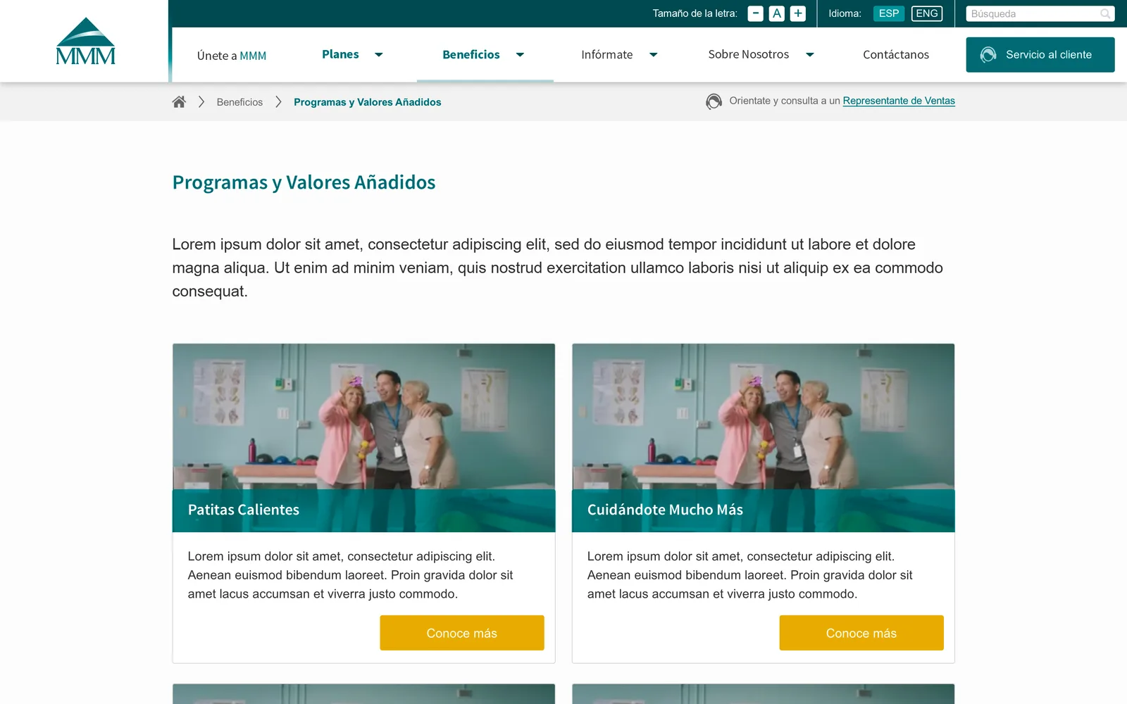 Blocks template: programs and added values